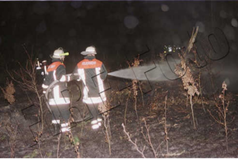 Waldbrand Einsatz 2001